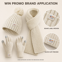 Ensemble bonnet, écharpe et gants tricotés d'hiver avec pompon, accessoires côtelés pour promotion de marque, sélection pour la vente au détail et en gros