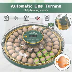 Incubadora automática de huevos 52Egg <span class=keywords><strong>Mini</strong></span> Incubadora de huevos Incubadora de doble potencia para pollos Aves de Corral Pato Máquina para incubar huevos - Product Image 4