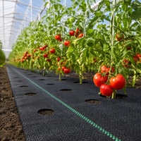 Toile de paillage agricole anti-herbe en PP tricoté stabilisé aux UV, résistante aux déchirures, respirante, noire/blanche, pour serres