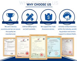 Eton tự động điện có thể và carton seamer cho đồ uống đóng gói năng suất cao và hoạt động dễ dàng - Product Image 6