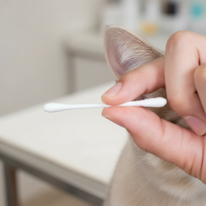 Hisopos de Algodón para Limpieza de Oídos de Mascotas de Marca Privada, 50 Unidades, Suaves, Delicados y Duraderos, Palitos Limpiadores de Oídos para Perros y Gatos, Cuidado Diario de Higiene - Product Image 4