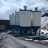 Silo di Stoccaggio Verticale per Cemento Personalizzato da 1000T con Fissaggio a Bullone