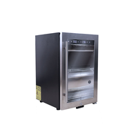 Réfrigérateur de maturation de viande 52L à dégivrage automatique, avec compresseur français, refroidissement par ventilateur, stérilisation UV, en acier inoxydable, électrique, pour hôtels et foyers