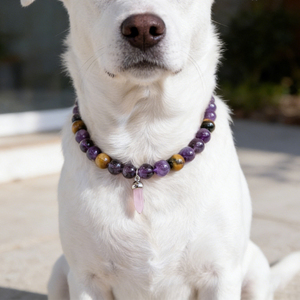 2026 <b>Dog</b> Healing Crystal Necklace pet Decorative necklace Sparkling Crystal Pet Natural <b>Beads</b> Pet Neck <b>Collar</b> Accessory - Product Image 3