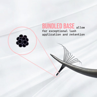 Cils faits main Promade 6D 8D 10D 12D, bases super fines, cils à base pointue de 0,05 0,07 mm, faux cils courbure C D