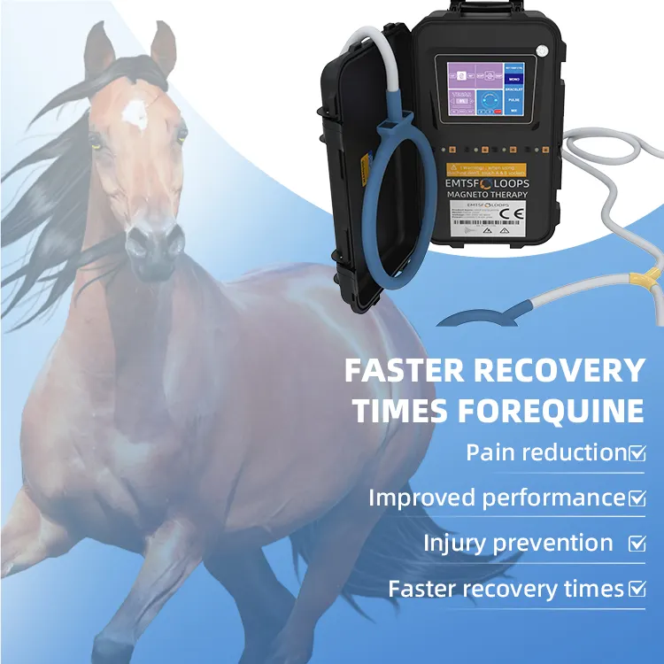 Home magnetotherapy pemf cell regeneration mat horse magnetic therapy pemf therapy for horse