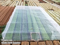 Filet en plastique blanc et vert pour jardins potagers, filet anti-insectes pour serres, service de découpe sur mesure