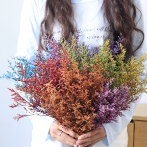 Herbe de Limonium Naturelle Préservée, Sans Nécessité d'Eau, Statice Séchée Éternelle, Décoration Bohème pour Mariage, Fête des Mères, Vase d'Intérieur - Product Image 2
