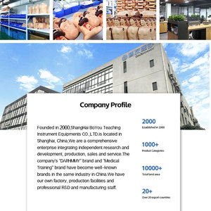 แบบจำลองกระดูกมือขนาดเท่าจริง DARHMY PVC พร้อมกระดูกที่มีสีสันแสดงความแตกต่างกัน - แบบจำลองโครงกระดูกสำหรับการสอนกายวิภาคศาสตร์สำหรับนักศึกษาแพทย์ - Product Image 6