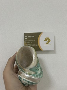 Les pièces de coquillages polis élèvent vos conceptions de bijoux Artisanat et projets d'art inspirés de l'océan - Product Image 5