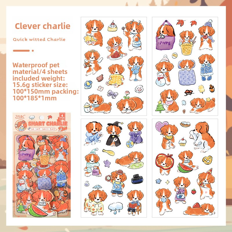 B Sensible Charlie-orange