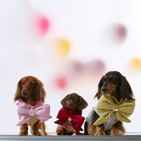 Accessoires de vêtements personnalisés pour chiens-Nœuds papillon mignons à la mode pour chiens et chats. Arc de chien de Noël haut de gamme avec des arcs