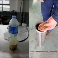 Machine d'extraction de Co2 supermiques, pour Extraction d'huile essentielle, Machine d'extraction de co2