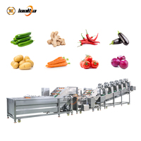 Industriële fruit- en groentewasmachines, ui-wasmachine zonder schade, drooglijn voor verse mango's