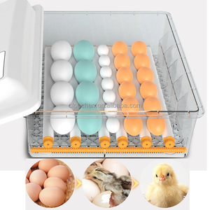 Máy Ấp Trứng OUCHEN Ở Ba Lan 36 64 120 176 128 Trứng Ấp Trứng Máy Ấp Trứng Tự Động Ấp Trứng - Product Image 5