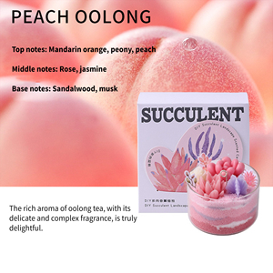 Vela Aromática <span class=keywords><strong>de</strong></span> Cera <span class=keywords><strong>de</strong></span> Soja <span class=keywords><strong>con</strong></span> Forma <span class=keywords><strong>de</strong></span> <span class=keywords><strong>Cactus</strong></span>, en Maceta, Regalo Romántico para Acción <span class=keywords><strong>de</strong></span> Gracias o Navidad, Adorno Decorativo - Product Image 4