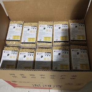 Kedelai Kuning Nihewan Mendukung Kustomisasi Grosir Kedelai NON GMO - Product Image 4