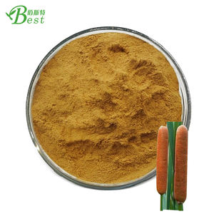 Prix d'usine Extrait de pollen de plante à queue de chat/extrait de pollen de plante à queue de chat/extrait de pollen de Typhae 4:1 10:1 20:1 - Product Image 2