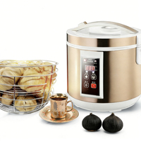 Intelligente Automatische Zwarte Knoflook Fermenter Industriële Kwaliteit Fruit- en Groenteverwerkingsapparatuur