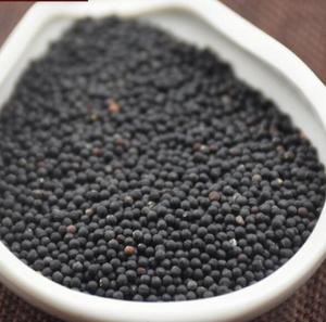 <strong>Wang</strong> Bu Liu <strong>Xing</strong> Bulk Wholesale Vaccaria Seeds Cowherb Seed for Herb - Product Image 4