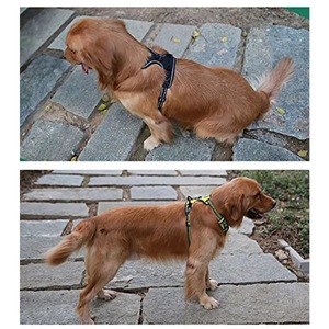 Harnais pour chien souple et réfléchissant, anti-traction, avec poignée et deux attaches pour la laisse, certifié BSCI, marque privée - Product Image 4