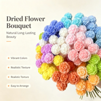 Groothandel Gedroogde Natuurlijke Bloemen Windmolen Fruit Bloemstukken Tafelkleed Bloemdecoratie DIY Materialen Bruidsbloemen