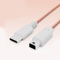 Câble de charge portable de 2 mètres avec interface Type-C pour accessoires de console DSi/3DS/3DS XL/New 3DSLL