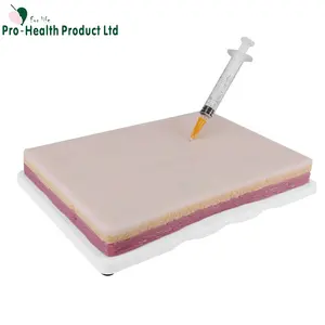 نموذج للتدريب الجراحي على خياطة الجلد بالحقن من مادة TPE من من من من مادة البولي إيثيلين من من من أجل العلوم الطبية - Product Image 1