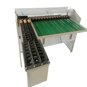 Machine de triage d'œufs de poule, Machine de triage d'œufs de poule, Machine de qualité de poids, Machine de classement d'œufs à vendre
