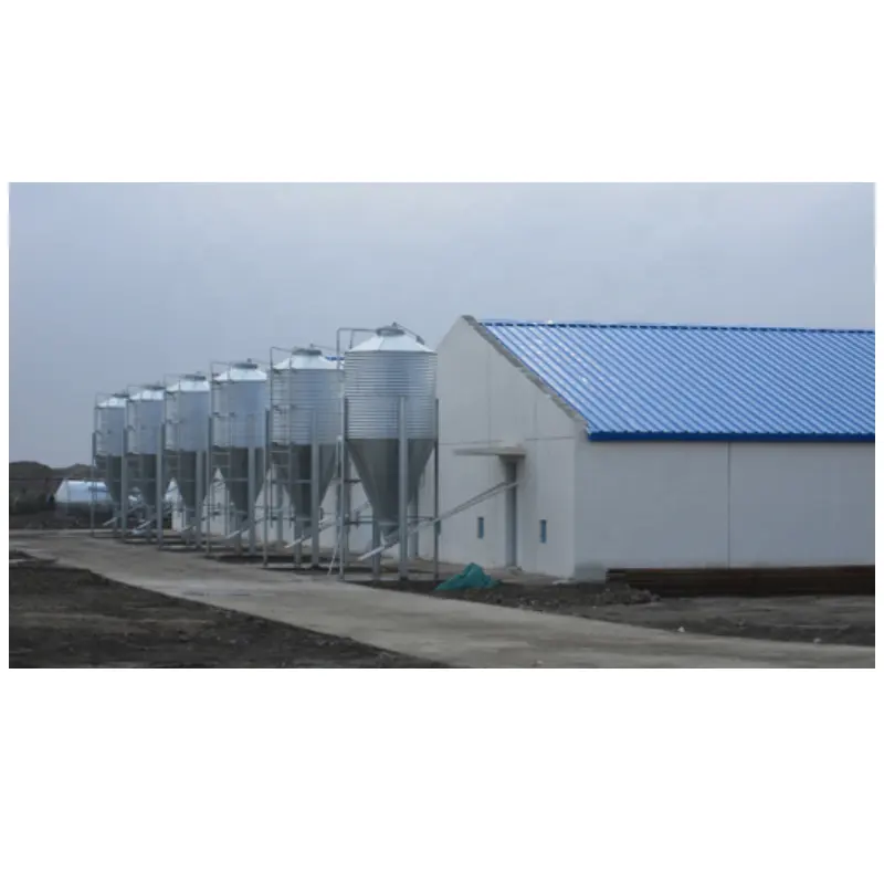 Plans de maisons de poulet de construction de structure en acier de hangar personnalisé à faible coût grande maison de haute qualité spécifique à l'agriculture
