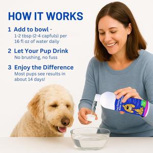 Solution personnalisée <span class=keywords><strong>de</strong></span> soins dentaires pour animaux <span class=keywords><strong>de</strong></span> compagnie OEM/ODM, solution <span class=keywords><strong>de</strong></span> santé bucco-dentaire pour chiens et chats, rafraîchit l'haleine, réduit la plaque et le tartre - Product Image 3