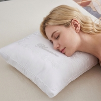 Oreiller décoratif de luxe de haute qualité, logo personnalisable, rembourrage complet à haute résilience, bonne perméabilité à l'air, pour hôtel ou maison