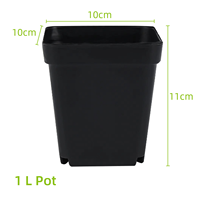 Pots de culture carrés 1L en plastique PP pour plantes et semis Pot de pépinière avec trou de drainage