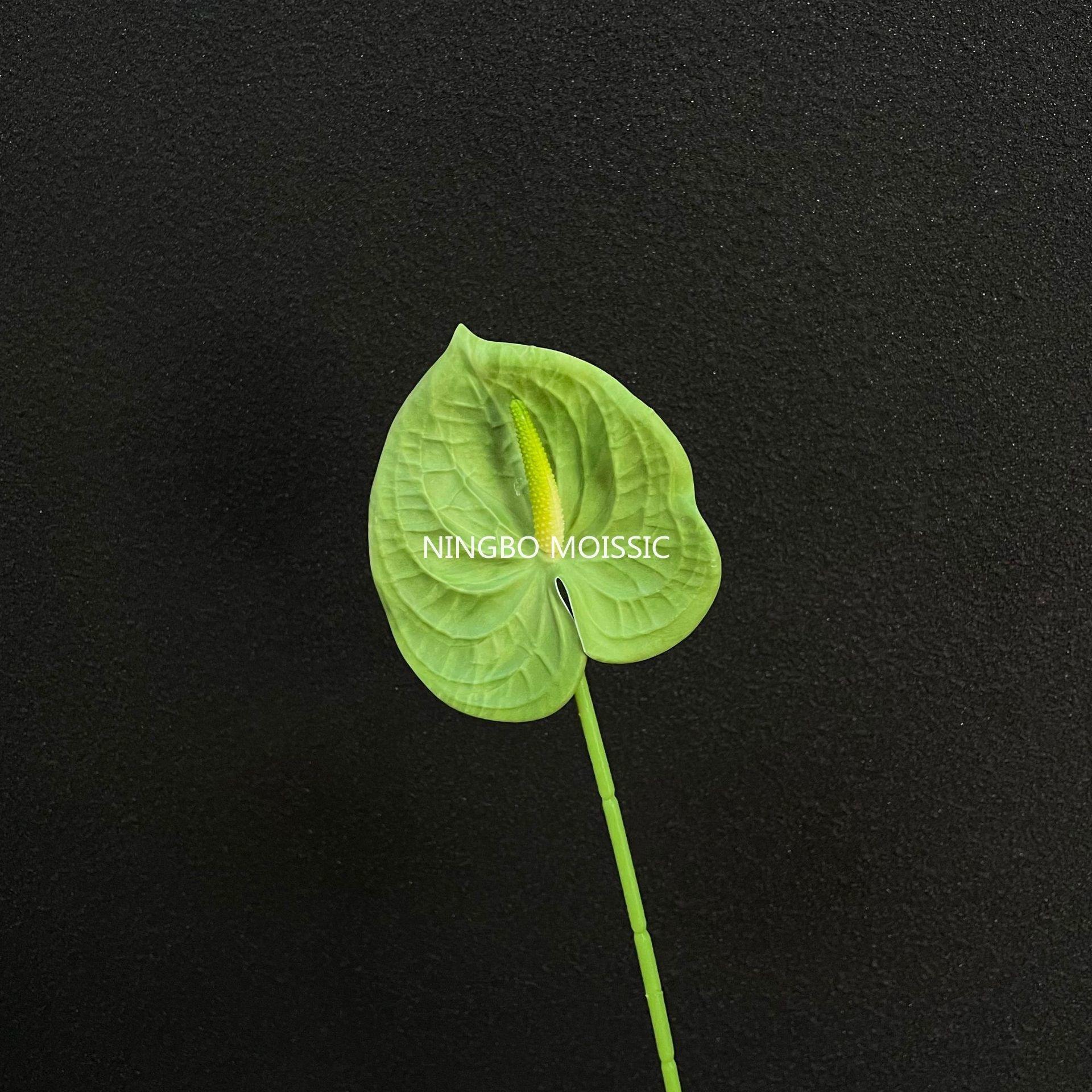 สีเขียว