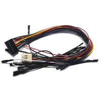 Kabel Harness Joystick Konsol Game DuPont Kustom dengan Konektor JST NH2.5mm untuk Pengontrol Game