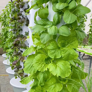 Plástico de calidad alimentaria, buen sellado, sistema de cultivo en agua profunda, para vegetales de hoja, hierbas, cultivo interior, cubeta hidropónica verde. - Product Image 2