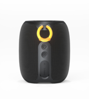 Haut-parleur portable 5.4 avec design sac à main, mini karaoké, lumières LED RGB, rechargeable, étanche IPX4, sortie 10W