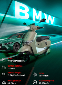 Motocicleta Eléctrica CKD SKD de 12 Pulgadas, 2 Ruedas, 2 Asientos, 1100/1300W, Velocidad Máxima de 65 km/h, con Pedales - Product Image 3