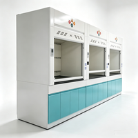 Hotte de laboratoire en acier au design moderne, plan de travail résistant aux acides pour usage scolaire et hospitalier, préparation d'échantillons, laboratoire de chimie analytique