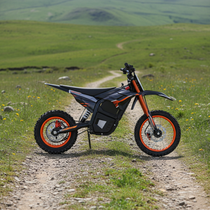 <span class=keywords><strong>Prix</strong></span> compétitif, moto électrique tout-terrain, moteur central puissant 48V 2200W, étanche IPX6, véhicule tout-terrain de montagne - Product Image 1