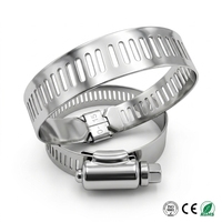 Abrazadera de manguera de acero inoxidable 316 tipo americano W5, abrazadera de tubería ajustable con tornillo sin fin, fijación para suministro de agua en construcción y plomería