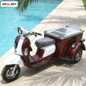 Triciclo Eléctrico para Helados con Marco de Fibra de Vidrio, Carrito de Comida Portátil para Helados y Paletas Italianas, Carrito de Empuje Manual - Product Image 2