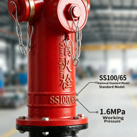 Systèmes de sécurité incendie de haute qualité, équipement d'alimentation en eau pour la protection incendie, hydrant extérieur SS100/65-1.6
