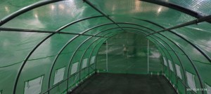 Vendite di fabbrica miglior prezzo serre per <span class=keywords><strong>piante</strong></span> per orto - Product Image 5