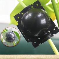 Boules d'enracinement pour arbres fruitiers, grandes coupes de bouturage, dispositifs d'airrobing écologiques et durables pour le contrôle des racines