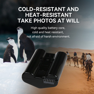 <span class=keywords><strong>Batterie</strong></span> d'appareil photo FB <span class=keywords><strong>EN</strong></span>-EL4a Lithium-ion 2250 mAh El4a pour <span class=keywords><strong>Nikon</strong></span> D3 D3S D2H D2Hs D2X F6 D3X D700 D300 D300S - Product Image 3