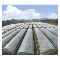 Thermique agricole en plastique de haute résistance de m, serre verte, tomate, pour vente