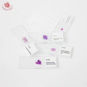 Diapositivas de patología humana FRT2002 Suministro médico 100 tipos Microscopio de patología humana Diapositiva preparada Diapositiva profesional biológica - Product Image 6