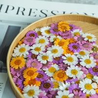 Kristal Krisan Risen DIY Akrilik Lucite Bunga Daisy Kecil Asli Gaya Hutan Peri Super Perhiasan Mata Domba Grosir