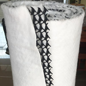 Chất lượng tốt thực tế hiệu quả cấu trúc W loại geocomposite thoát nước geomat kiểm soát xói mòn Thảm 3D Composite thoát nước Net - Product Image 5